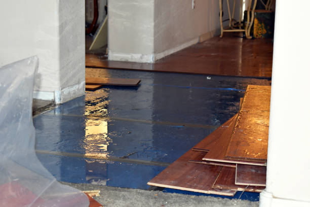 Professional Water Removal technician working in Hull, TX
